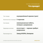 Калибрахоа Superbells Banana Chocolate (срезы/5шт) — что приедет