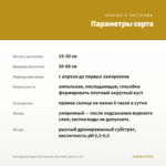 Калибрахоа Superbells Banana Chocolate (срезы 5 шт) — параметры сорта