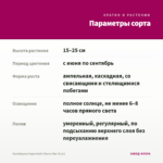 Калибрахоа Superbells Cherry Star (0,1л) — параметры сорта