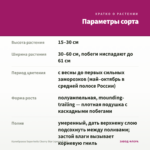 Калибрахоа Superbells Cherry Star (срезы 5 шт) — параметры сорта