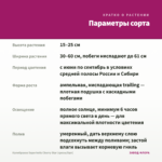 Калибрахоа Superbells Cherry Star (срезы/5шт) — параметры сорта