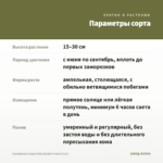Калибрахоа Superbells Double Cream (0,1л) — параметры сорта