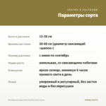 Калибрахоа Superbells Double Cream (0,1л) — параметры сорта