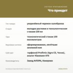 Калибрахоа Superbells Double Cream (0,1л) — что приедет