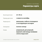 Калибрахоа Superbells Double Cream (срез/5шт) — параметры сорта