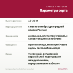 Калибрахоа Superbells Double Ruby (срезы/5шт) — параметры сорта