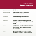 Калибрахоа Superbells Double Ruby (срезы/5шт) — параметры сорта