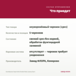 Калибрахоа Superbells Double Ruby (срезы/5шт) — что приедет