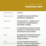 Калибрахоа Superbells Holly Cow (срезы 5 шт) — параметры сорта