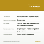 Калибрахоа Superbells Holly Cow (срезы 5 шт) — что приедет