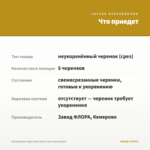 Калибрахоа Superbells Holly Cow (срезы/5шт) — что приедет