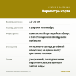 Калибрахоа Superbells Lemon Slice (0,1л) — параметры сорта