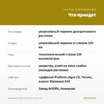 Калибрахоа Superbells Lemon Slice (0,1л) — что приедет