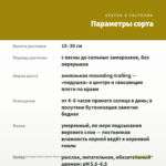 Калибрахоа Superbells Lemon Slice (срезы 5 шт) — параметры сорта
