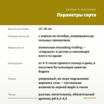 Калибрахоа Superbells Lemon Slice (срезы/5шт) — параметры сорта