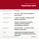 Калибрахоа Superbells Pomegranate Punch (0,1л) — параметры сорта