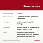Калибрахоа Superbells Pomegranate Punch (0,1л) — параметры сорта