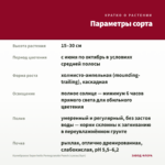 Калибрахоа Superbells Pomegranate Punch (срезы/5шт) — параметры сорта