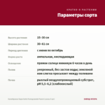 Калибрахоа Superbells Pomegranate Punch (срезы 5 шт) — параметры сорта