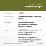 Калибрахоа Superbells Tangerine Star (срезы/5шт) — параметры сорта