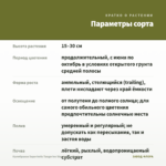 Калибрахоа Superbells Tangerine Star (срезы/5шт) — параметры сорта
