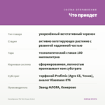 Калибрахоа Tik Tok Grape (0,1л) — что приедет