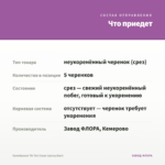 Калибрахоа Tik Tok Grape (срезы/5шт) — что приедет
