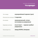 Калибрахоа Tik Tok Grape (срезы/5шт) — что приедет