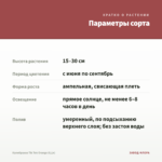 Калибрахоа Tik Tok Orange (0,1л) — параметры сорта