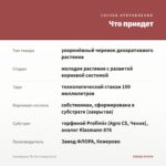 Калибрахоа Tik Tok Orange (0,1л) — что приедет