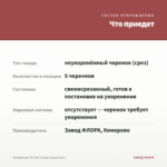 Калибрахоа Tik Tok Orange (срезы/5шт) — что приедет