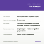 Калибрахоа TikTok Amethyst (срезы/5шт) — что приедет