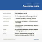 Калибрахоа TikTok Blue (срезы/5шт) — параметры сорта