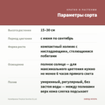 Калибрахоа Tropical Sunrise (0,1л) — параметры сорта