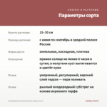 Калибрахоа Tropical Sunrise (срезы 5 шт) — параметры сорта