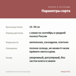 Калибрахоа Tropical Sunrise (срезы/5шт) — параметры сорта