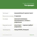 Каллизия Бьянка (срезы/5шт) — что приедет