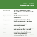 Каллизия Конгеста Зеленая (0,1л) — параметры сорта