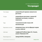 Каллизия Конгеста Зеленая (0,1л) — что приедет