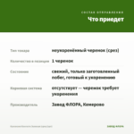 Каллизия Конгеста Зеленая (срез/1шт) — что приедет