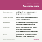 Каллизия ладьевидная (срез/1шт.) — параметры сорта