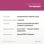 Каллизия ладьевидная (срез/1шт.) — что приедет
