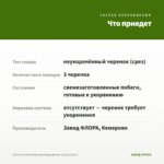 Каллизия Лонгифолия/Кордифолия (срезы/3шт.) — что приедет