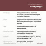 Каллизия Розовая Пантера (0,1л) — что приедет