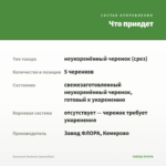 Каллизия Зелёная (срезы/5шт) — что приедет