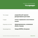 Камнеломка Земляничная (Saxifraga Stolonifera Curtis) — что приедет