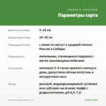 Кампанула Бали (белая) 0,1л. — параметры сорта