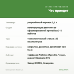 Кампанула Бали (белая) 0,1л. — что приедет