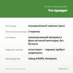 Кампанула Бали (белая) срез/3шт — что приедет