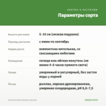 Кампанула Бали (белая) срез/3шт — параметры сорта